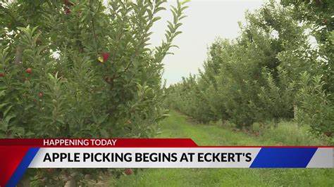 Apple picking season starts today at Eckert's Farm